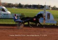/album/galerie-de-photos-nos-chevaux/img-1770-copie-jpg1/
